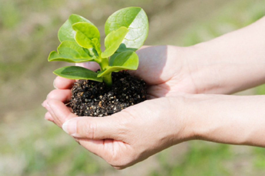 環境保護に関する事業