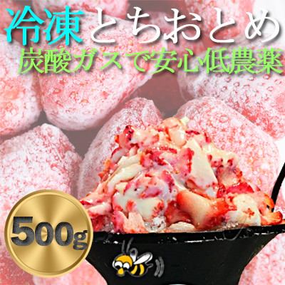 農家直送だから苺本来の美味しさ!BELL FARMの冷凍 いちご500g 収穫当日冷凍の苺【配送不可地域：離島】【1506089】