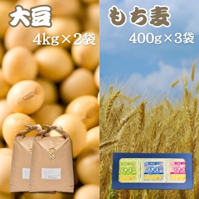 大豆4kg×2袋・もち麦400g×3袋【食物繊維が豊富!】【1522915】