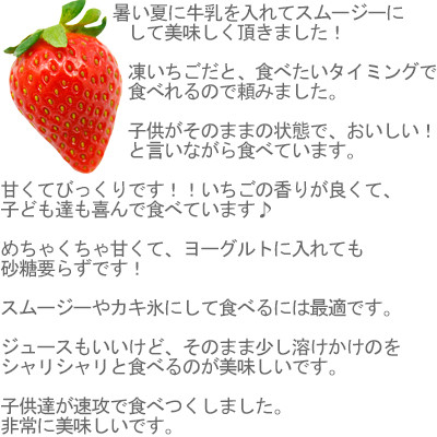 農家直送!削りイチゴパフェも楽しめるBELL FARMの美味しい冷凍いちご2kg【苺1kg×2箱】【配送不可地域：離島】【1013445】