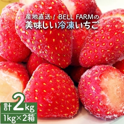 産地直送!BELL FARMの美味しい冷凍いちご　2kg【1kg×2箱】【配送不可地域：離島】【1013445】