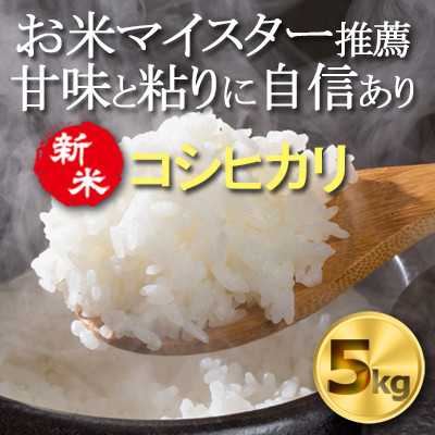 【令和7年産　新米】千葉県産コシヒカリ 精米5kg お米マイスター厳選/推奨 甘味と粘りに自信あり【1666684】