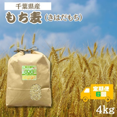 【毎月定期便】食物繊維たっぷりの「もち麦」(きはだもち) 4kg 千葉県横芝光町産全6回【4056807】