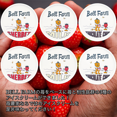 イチゴ農家 Bell Farm のこだわりイチゴ アイスクリーム詰め合わせセット　(3種×2個)6個【配送不可地域：離島】【1082439】