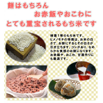 もち米10kg　千葉県産ヒメノモチ白米(5kg×2袋)　お餅やお赤飯に【1012796】