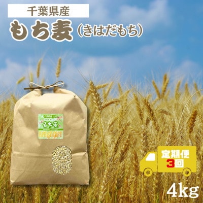 【毎月定期便】食物繊維たっぷりの「もち麦」(きはだもち) 4kg 　千葉県横芝光町産全3回【4056808】