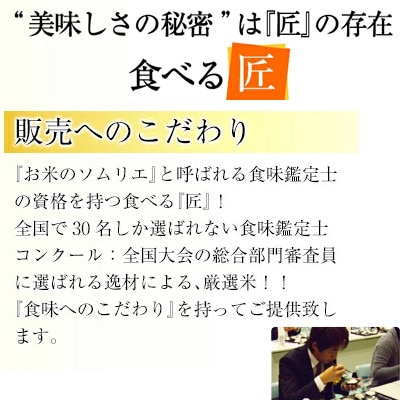 【毎月定期便】ミルキークイーン 米5kg 米定期便 【玄米】色彩選別済 全6回【4055977】