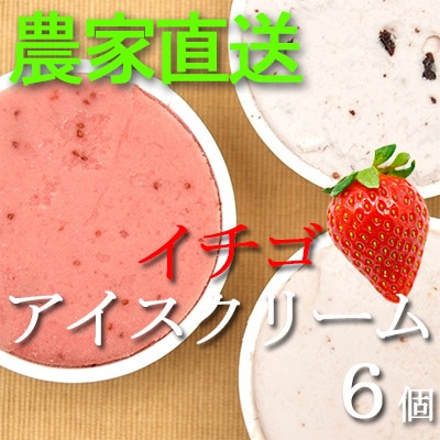 イチゴ農家のこだわり いちごアイスクリーム詰め合わせセット　Bell Farm(3種×2個)6個【配送不可地域：離島】【1082439】
