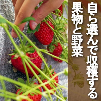 ç§å Žã¢ã€ã¹ å£ç¯ã®ãå§ã倧人æ°6åã»ãããè¡æšç§å Žã®ã¢ã€ã¹ã¯ãªãŒã ã»ãããããŒãããŠçä¹³ã§äœããŸãããé
éäžå¯å°åïŒé¢å³¶ãã1491605ã