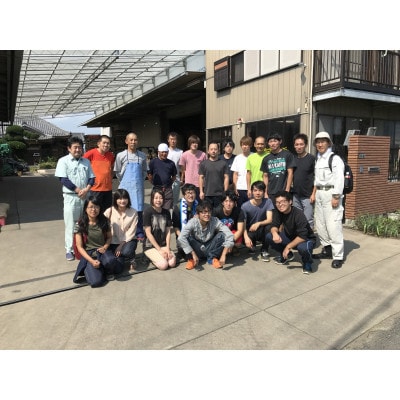 【毎月定期便】3ヶ月連続お届け!ミルキークイーン　玄米5kg　金賞・千葉大学共同研究米全3回【4077075】