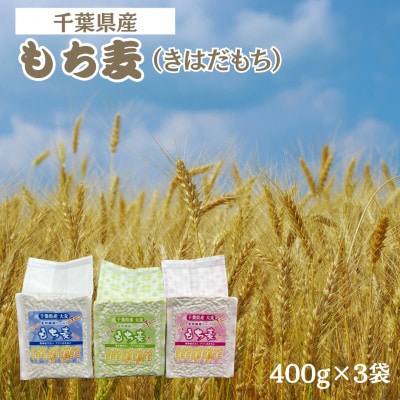 食物繊維たっぷりの「もち麦」(きはだもち) 400g×3袋 千葉県横芝光町産【1522910】