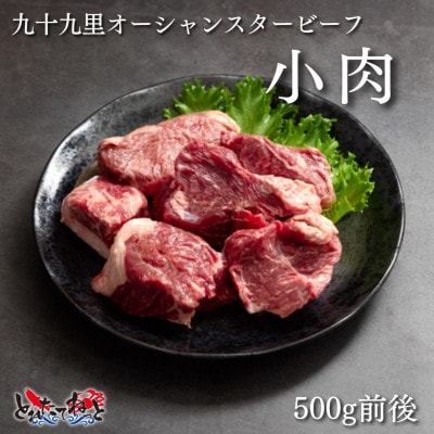 九十九里オーシャンスタービーフ小肉(カレー/煮込み用)500g×2パック【配送不可地域：離島】【1529269】