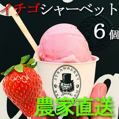 農家直送!BELL FARMの美味しい苺シャーベット　2種×3　6個セット【配送不可地域：離島】【1384266】