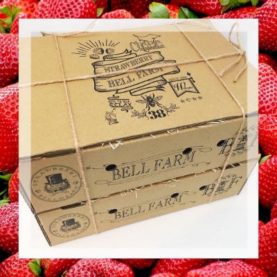 産地直送!BELL FARMの美味しい冷凍いちご　2kg【1kg×2箱】【配送不可地域：離島】【1013445】