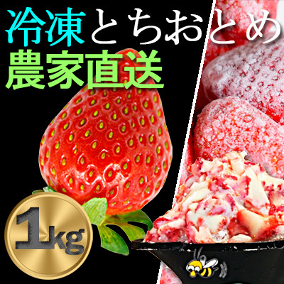 産地直送だから苺本来の美味しさ!BELL FARMの冷凍 いちご1kg 収穫当日冷凍の苺1kg【配送不可地域：離島】【1230635】