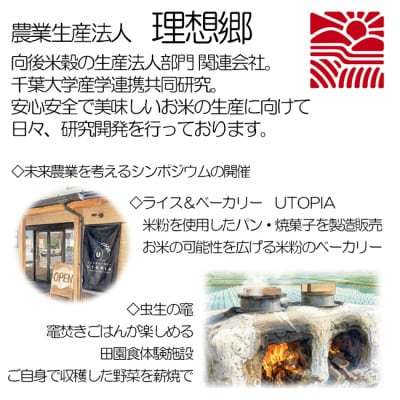 【令和7年産】理想郷　ミルキークイーン　玄米5kg　金賞・千葉大学共同研究米【1666858】