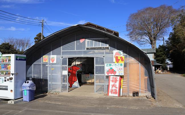 近藤いちご園の赤・白・黒いちごジャム　４個セット　（赤ジャム１個・白ジャム２個・黒ジャム１個）