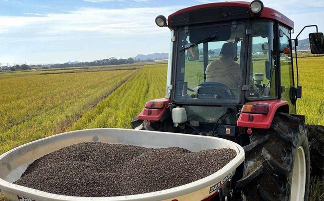 千葉県一宮町産コシヒカリ（白米１０ｋｇ）食べくらべチャレンジセット　令和７年産米【2025年発送分】　先行予約　一等米　５kg　２袋　白米　精米