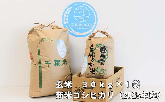 千葉県一宮町産コシヒカリ（玄米３０ｋｇ）令和７年産米【2025年発送分】　一等米　先行予約