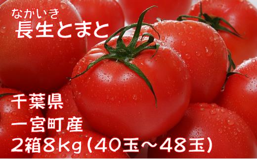 長生（ながいき）とまと２箱（40〜48個(約8kg)）一宮町産 トマト 先行予約