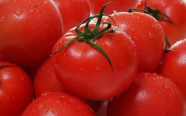 長生（ながいき）とまと１箱（20〜24個(約4kg)）一宮町産 トマト