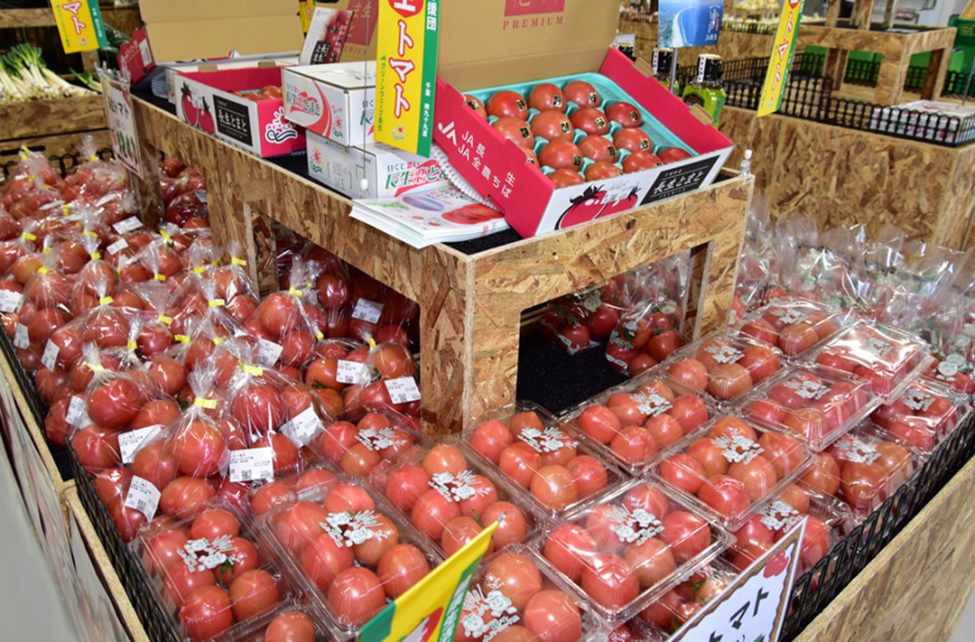 長生（ながいき）とまと２箱（40〜48個(約8kg)）一宮町産 トマト