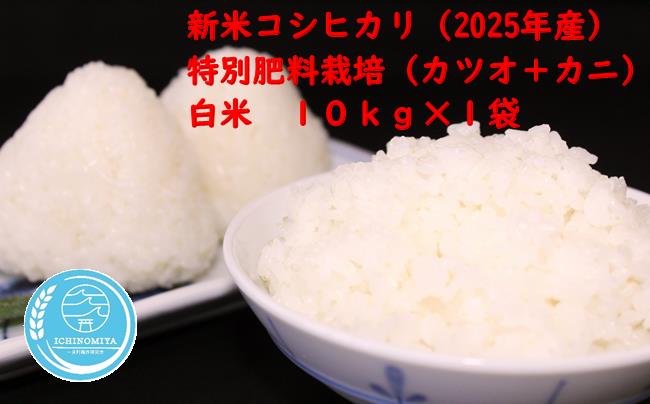 千葉県一宮町産特別肥料栽培『カツオ＋カニ』コシヒカリ（白米１０ｋｇ）令和７年産米【2025年発送分】先行予約　一等米　10kg　１袋　白米　精米