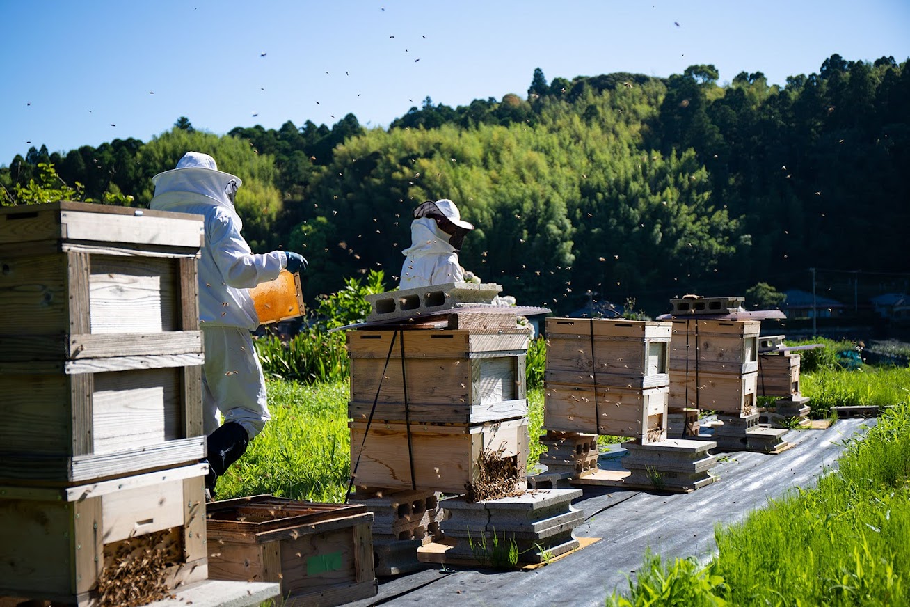 ä¹åä¹éã¯ã¡ã¿ã€ïŒ9983ïŒã¹ã¢ãŒã«ããã«110gÃ2çš®ã»ãã