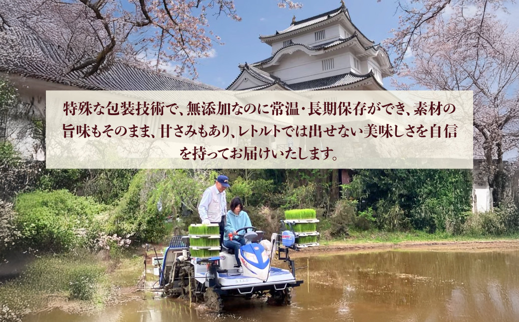 【KP04701】玄米ごはん２００g×２４　ふるさと納税 米 こめ コメ ごはん ご飯 コシヒカリ 玄米 200g 6パック セット 4箱 計24個 長期保存 常温 無添加 お弁当 キャンプ 備蓄 非常食 千葉県 大多喜町