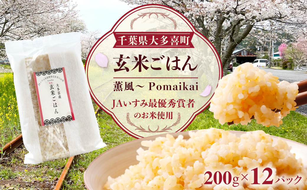 【KP02501】玄米ごはん２００g×１２　ふるさと納税 米 こめ コメ ごはん ご飯 コシヒカリ 玄米 200g 6パック セット 2箱 計12個 長期保存 常温 無添加 お弁当 キャンプ 備蓄 非常食 千葉県 大多喜町