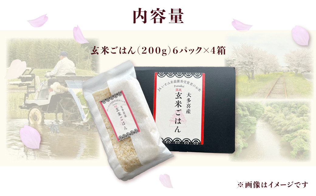 【KP04701】玄米ごはん２００g×２４　ふるさと納税 米 こめ コメ ごはん ご飯 コシヒカリ 玄米 200g 6パック セット 4箱 計24個 長期保存 常温 無添加 お弁当 キャンプ 備蓄 非常食 千葉県 大多喜町