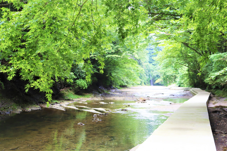 面白峡遊歩道整備事業