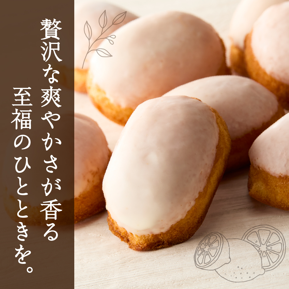 レモンケーキ5個セット