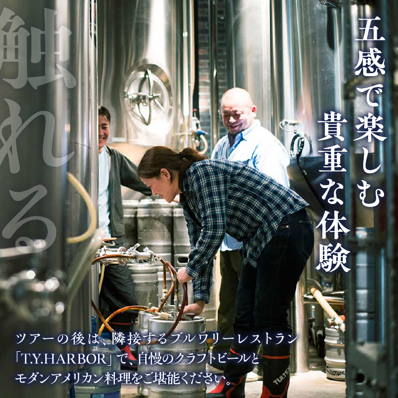 美味しいビールを「知る！」「体験する！」　T.Y.HARBOR Brewery クラフトビールを知る 見学体験＆お土産セット【8月第二日曜日午後】