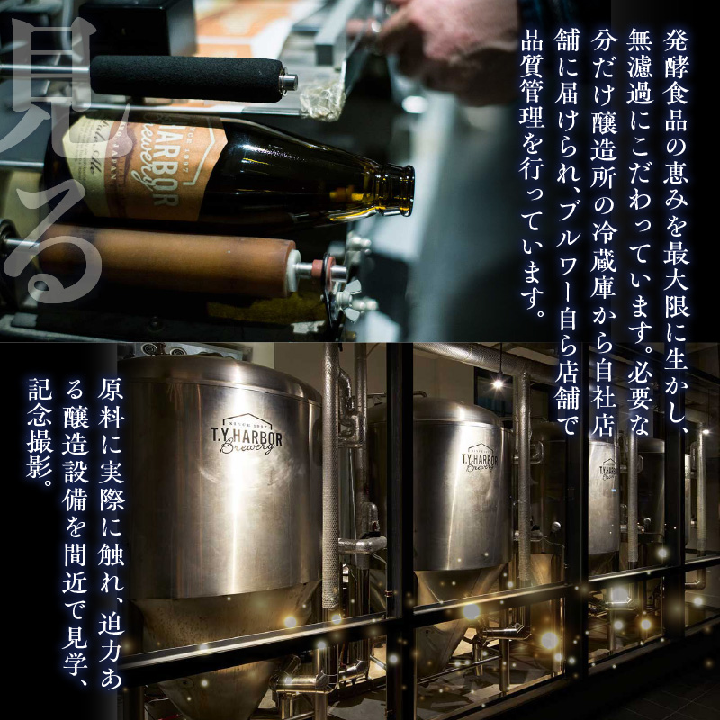 美味しいビールを「知る！」「体験する！」　T.Y.HARBOR Brewery クラフトビールを知る 見学体験＆お土産セット【8月第二土曜日午後】