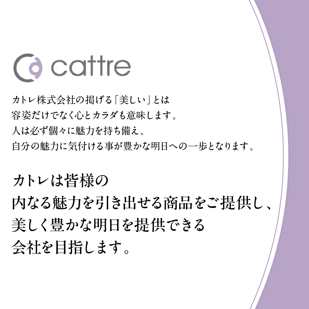 ＜cattre カトレ＞　充電交流式 メンズシェーバー2枚刃セット（収納ポーチ／USB電源アダプター付き）