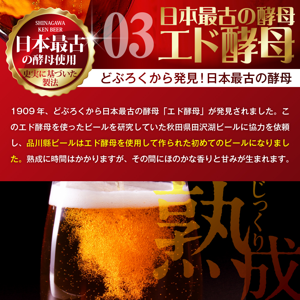 品川縣ビール12本セット