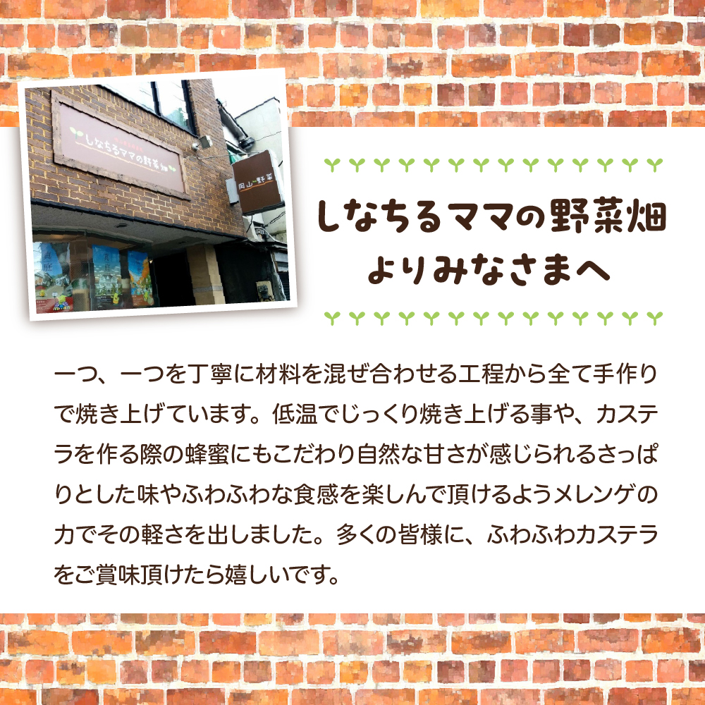 立会川りょうくんカステラ 5個入り