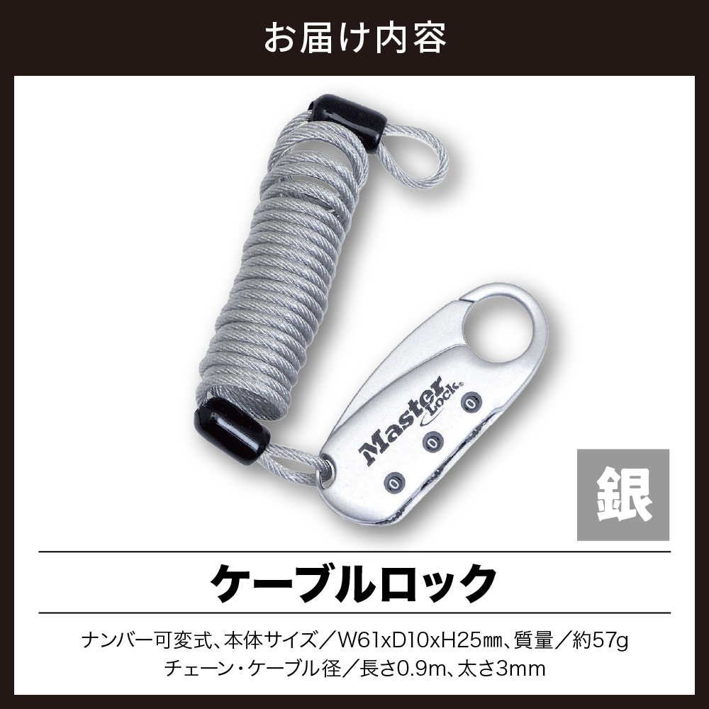 ケーブルロック　1559JADSLV （銀）　ナンバー可変式　防犯　防災　Master Lock