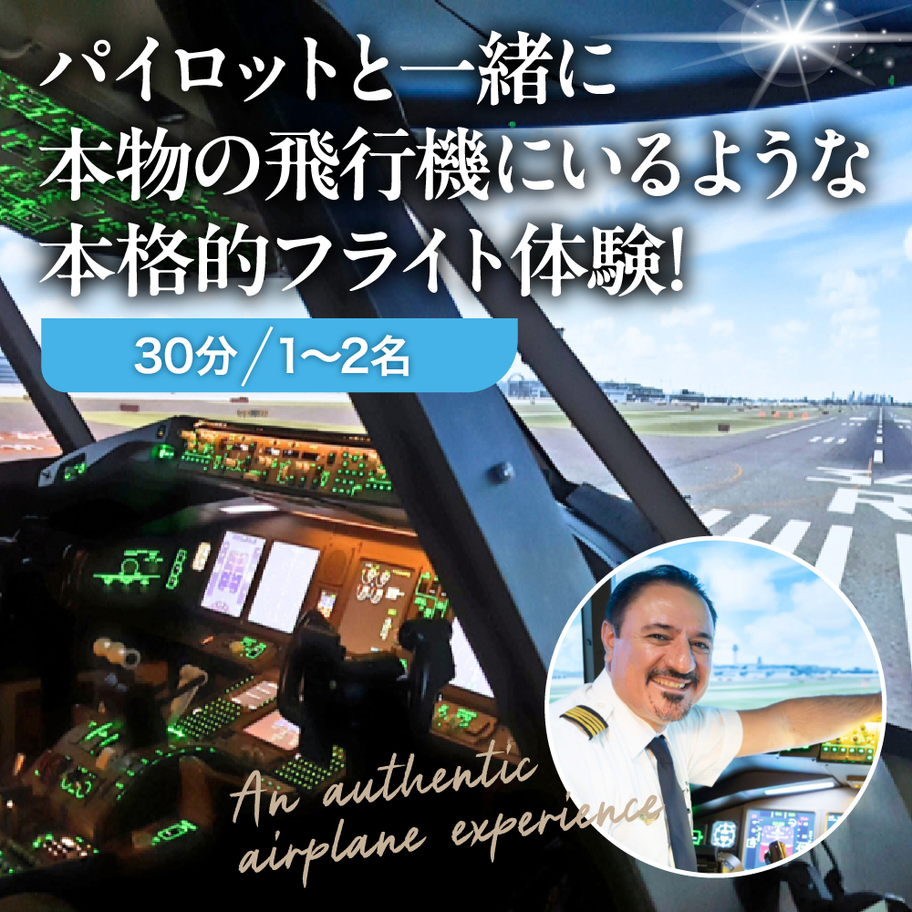 フライトシミュレーター操縦体験30分コース