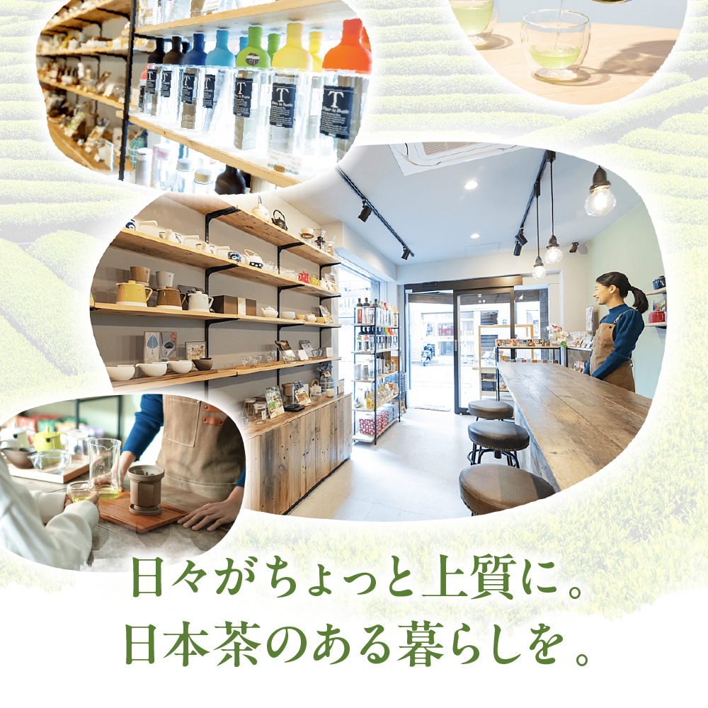 茶雑菓　戸越銀座の抹茶ビール作り体験