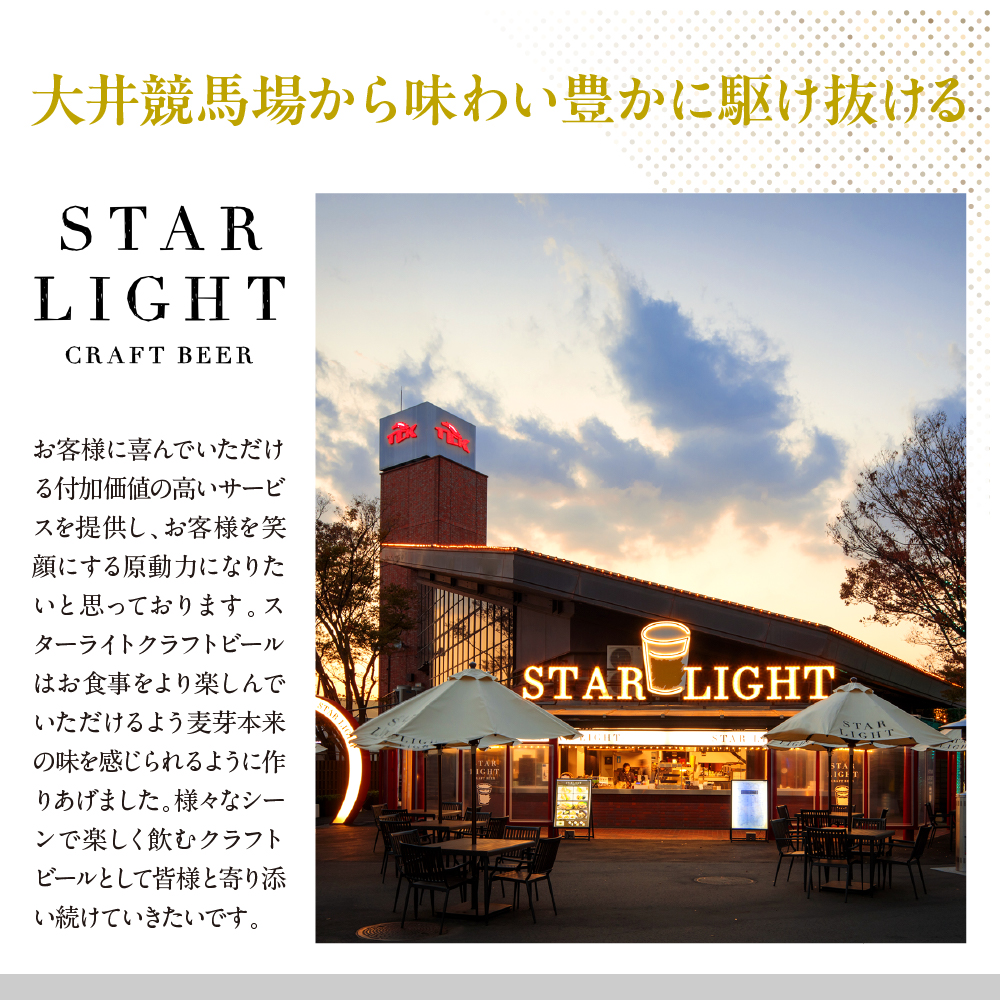 スターライトクラフトビール 330ml瓶×3本セット