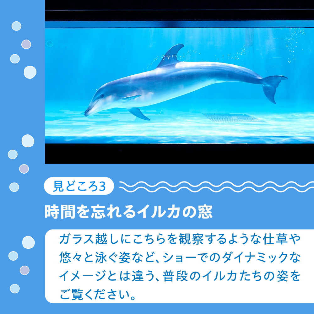 ããªããæ°Žæé€šãã¢å
¥é€šåž