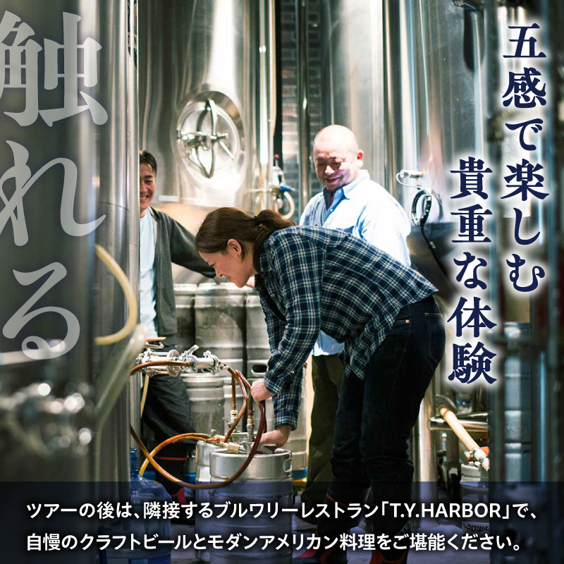 çŸå³ããããŒã«ããç¥ãïŒããäœéšããïŒããT.Y.HARBOR Brewery ã¯ã©ããããŒã«ãç¥ã èŠåŠäœéšïŒãåç£ã»ããã9æç¬¬äºæ¥ææ¥16æã TYHARBOR TYããŒã㌠ãã£ãŒã¯ã€ããŒããŒ