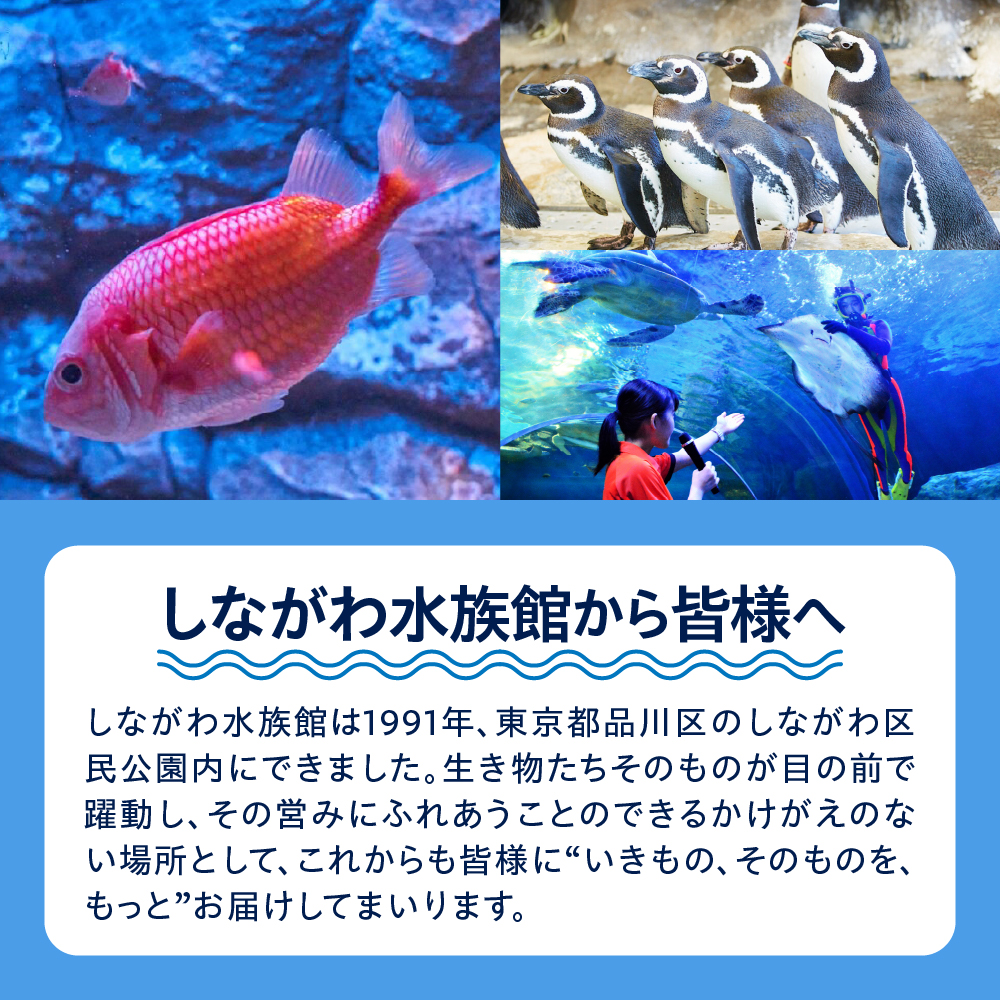 ããªããæ°Žæé€šãã¢å
¥é€šåž