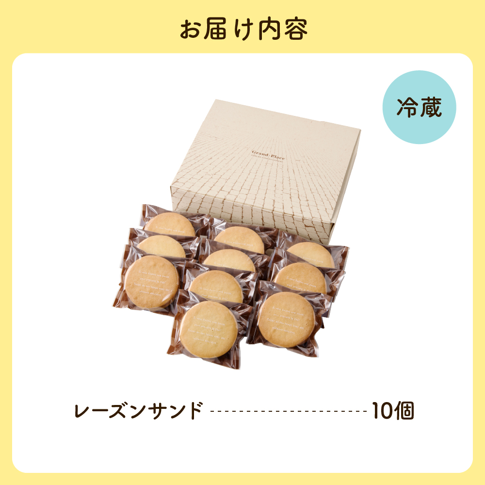 レーズンサンド10個セット
