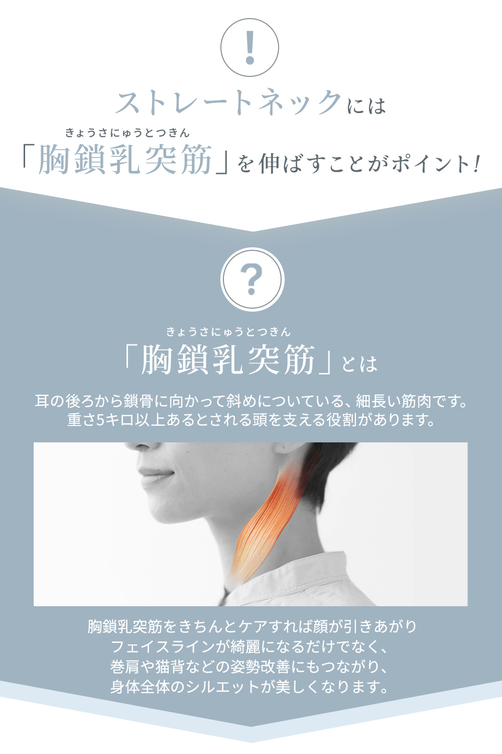 MyComfort ネックピロー 1個 〜ストレッチモデル〜 ローズベージュ
