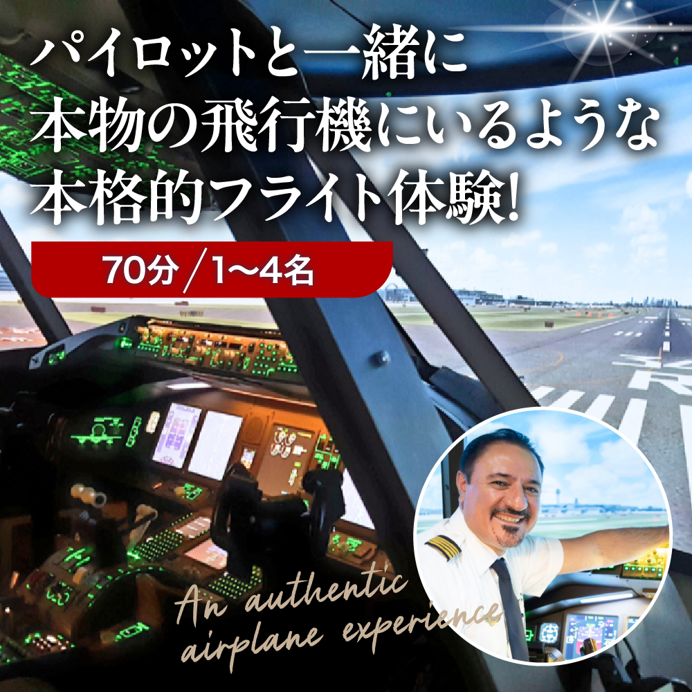 繝輔Λ繧、繝医す繝溘Η繝ャ繝シ繧ソ繝シ謫咲クヲ菴馴ィ70蛻繧ウ繝シ繧ケ