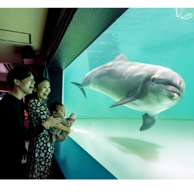 しながわ水族館ペア入館券【1574656】