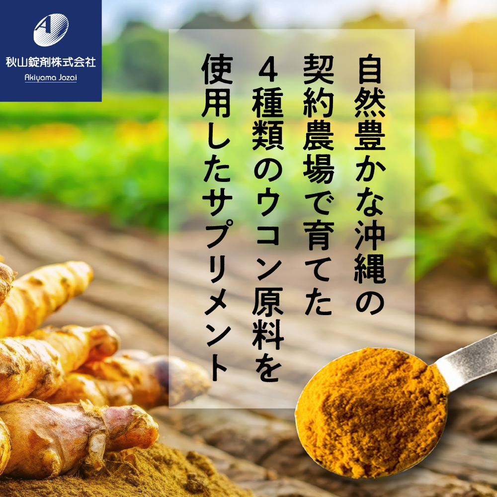 蛛・蠎キ鬟溷刀 繧ヲ繧ウ繝ウ sp(1邊330mgテ100邊)